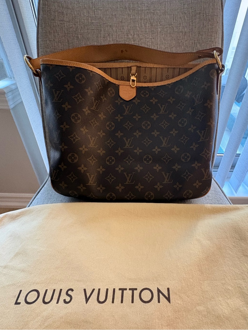 🌟 Made in France 🇫🇷 Louis Vuitton Delightful Shoulder Bag🌟